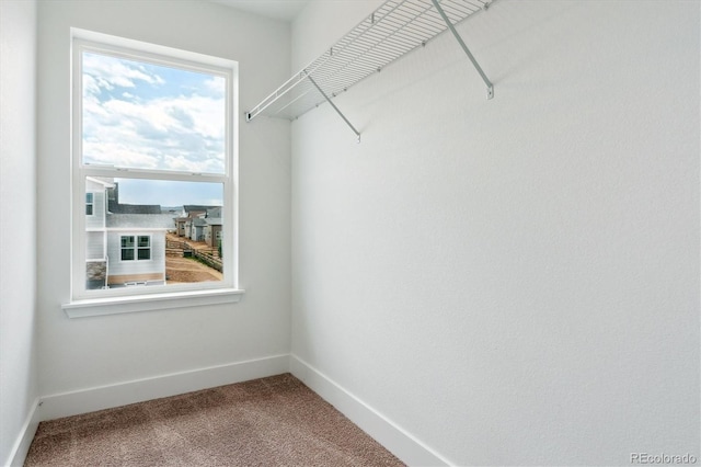 8346 Cokedale Cir, Littleton, CO 80125 - spacious closet featuring carpet