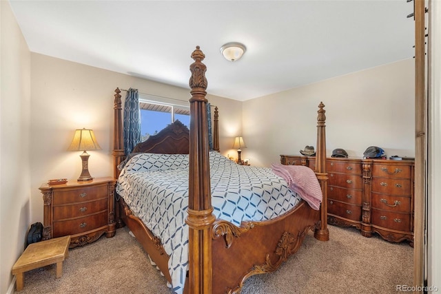 3516 Marigold St, Evans, CO 80620 - bedroom featuring carpet