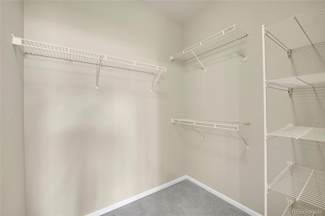 14333 E Napa Pl Unit 5D, Aurora, CO 80014 - spacious closet with carpet