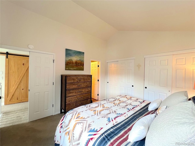 68 Golf Course Dr Unit 11, Copper Mountain, CO 80443 - bedroom with dark colored carpet, two closets, vaulted ceiling, and a barn door