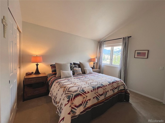 68 Golf Course Dr Unit 11, Copper Mountain, CO 80443 - carpeted bedroom with vaulted ceiling, baseboards, and a closet