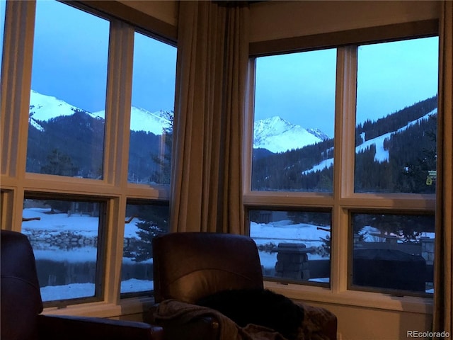 68 Golf Course Dr Unit 11, Copper Mountain, CO 80443 - detailed view