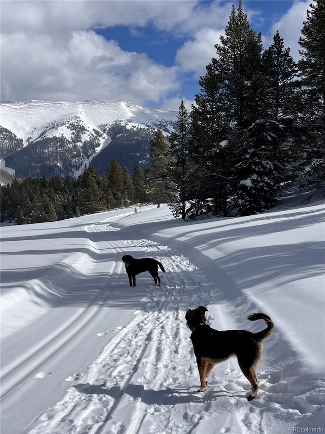 68 Golf Course Dr Unit 11, Copper Mountain, CO 80443 - view of mountain background