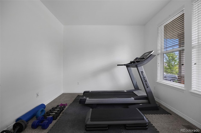 6247 S Muscadine Ct, Aurora, CO 80016 - photo 13