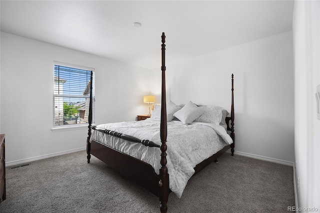 6247 S Muscadine Ct, Aurora, CO 80016 - photo 19