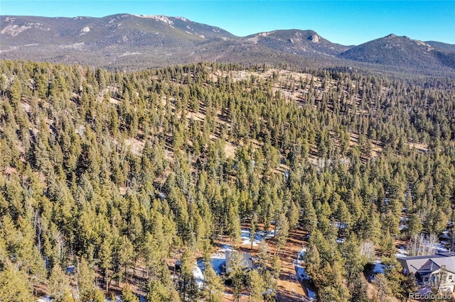 148 Ridge Ln, Bailey, CO 80421 - view of mountain background featuring a forest