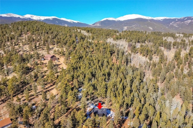 148 Ridge Ln, Bailey, CO 80421 - view of mountain background featuring a forest
