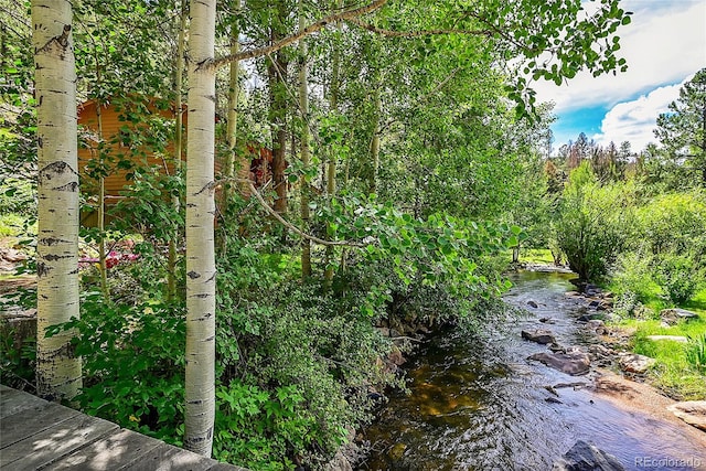 view of nature with a water view