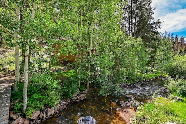 view of landscape featuring a water view