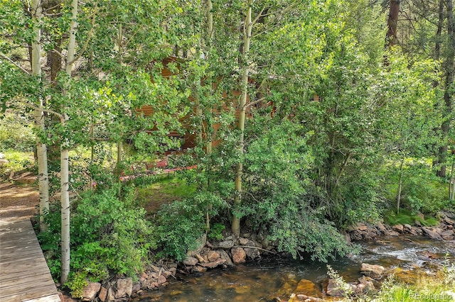 view of nature with a water view