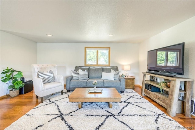 38 D Rd, Silverthorne, CO 80498 - living area with wood finished floors, recessed lighting, and baseboards