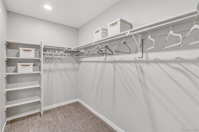 spacious closet with light carpet