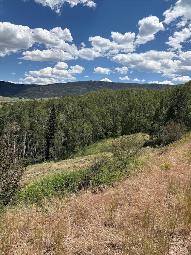 1874 Gcr 162, Kremmling, CO 80459 - photo 2