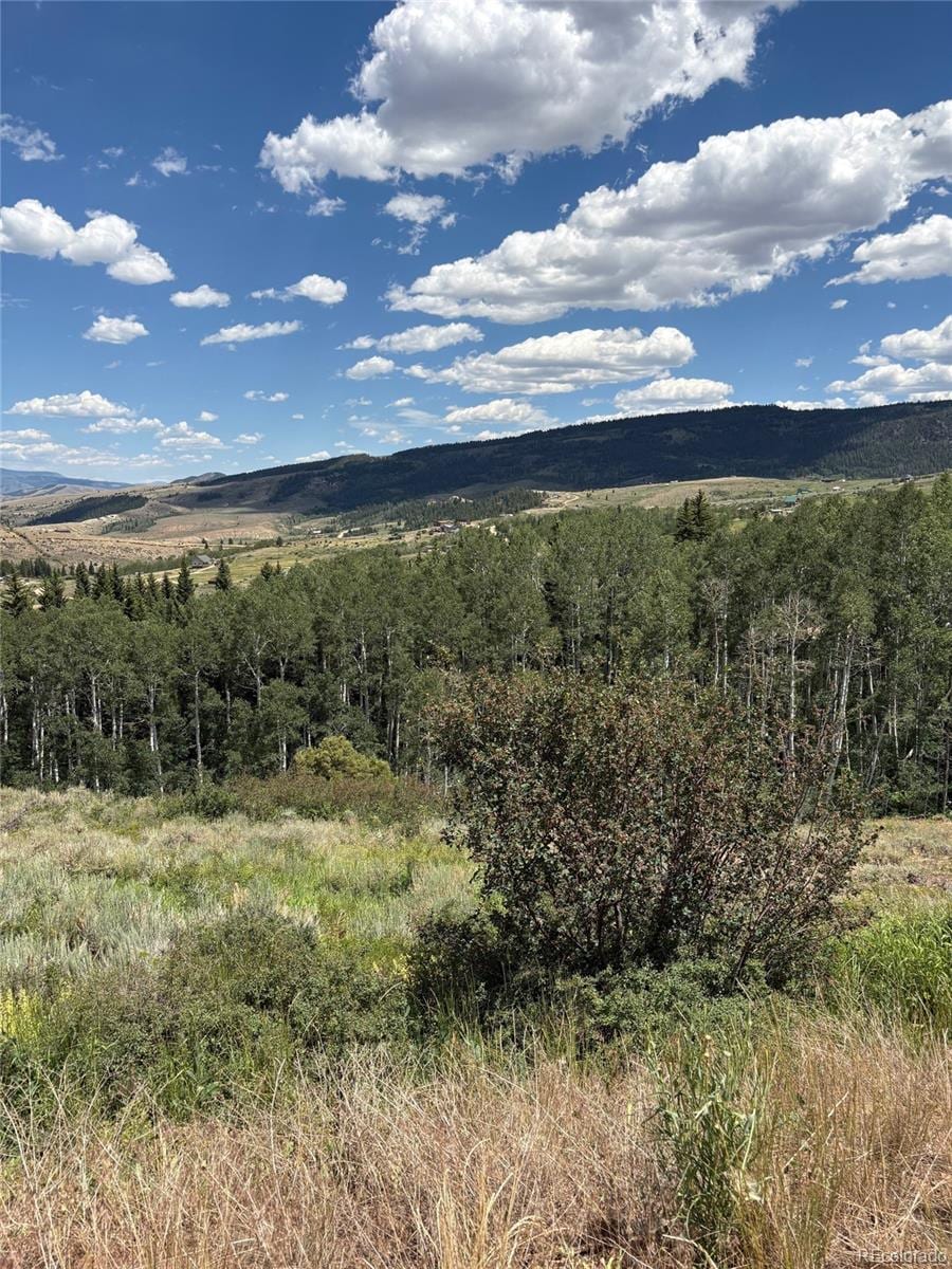 1874 Gcr 162, Kremmling, CO 80459 - photo 3