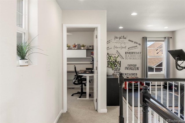 4510 Grapevine Way, Castle Rock, CO 80109 - photo 13
