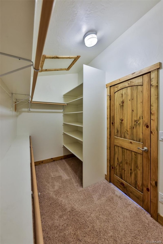 walk in closet with carpet