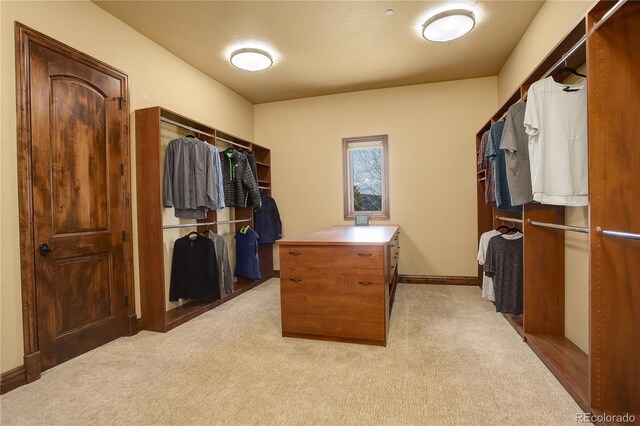 28800 Stonecrop Trl, Conifer, CO 80433 - spacious closet featuring carpet