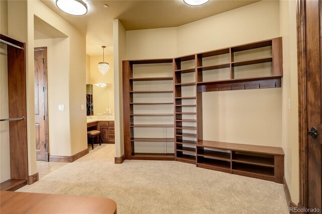 28800 Stonecrop Trl, Conifer, CO 80433 - spacious closet featuring carpet flooring