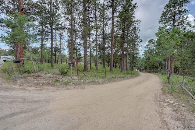 28858 Richmond Hill Rd, Conifer, CO 80433 - photo 3