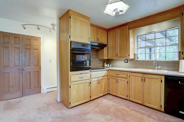 28858 Richmond Hill Rd, Conifer, CO 80433 - photo 10