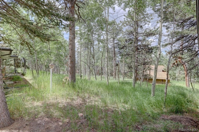 28858 Richmond Hill Rd, Conifer, CO 80433 - photo 31