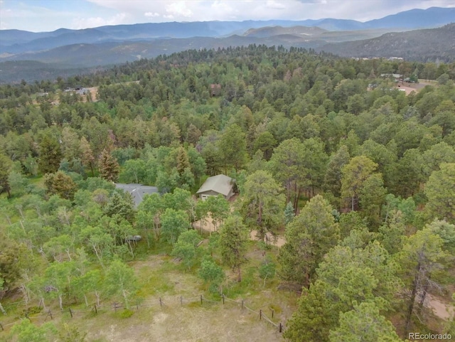 28858 Richmond Hill Rd, Conifer, CO 80433 - photo 33