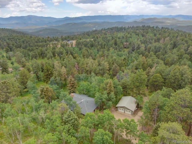 28858 Richmond Hill Rd, Conifer, CO 80433 - photo 34
