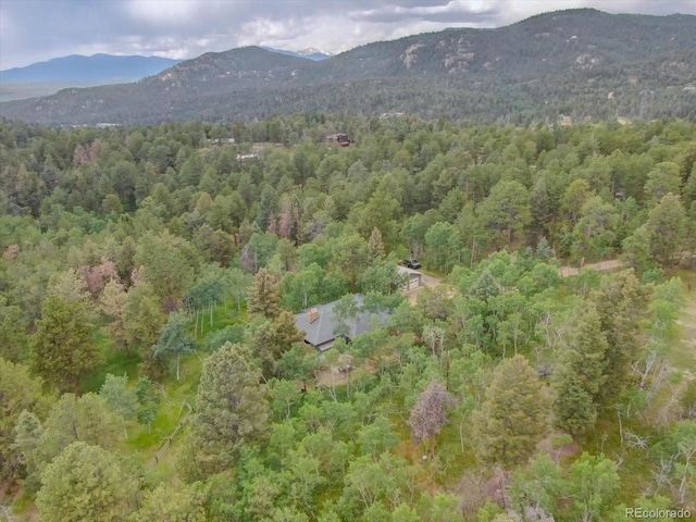 28858 Richmond Hill Rd, Conifer, CO 80433 - photo 35
