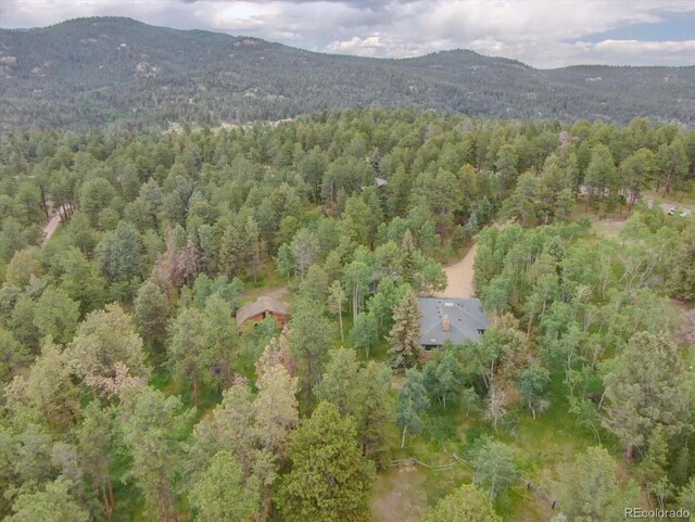 28858 Richmond Hill Rd, Conifer, CO 80433 - photo 36