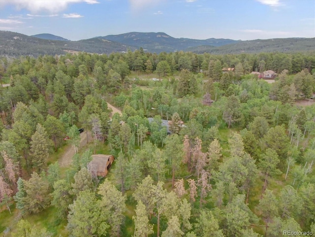 28858 Richmond Hill Rd, Conifer, CO 80433 - photo 37