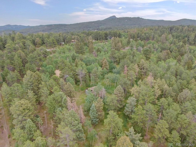 28858 Richmond Hill Rd, Conifer, CO 80433 - photo 38