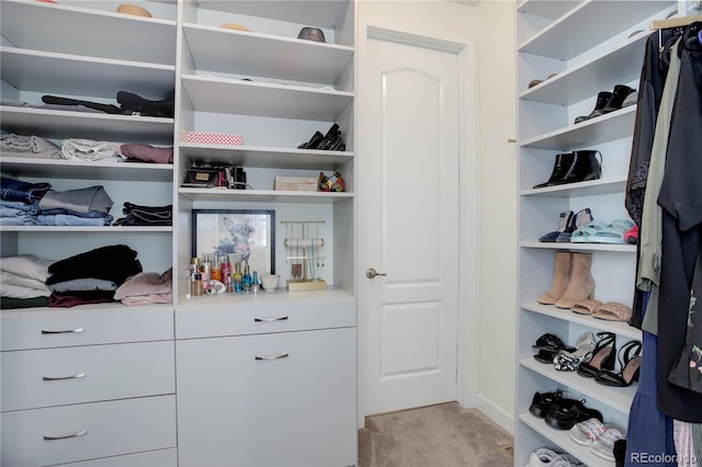 walk in closet with carpet floors