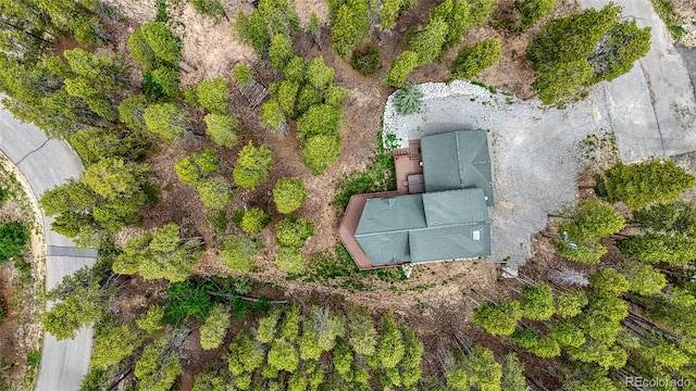 988 Ruby Ln, Leadville, CO 80461 - drone / aerial view