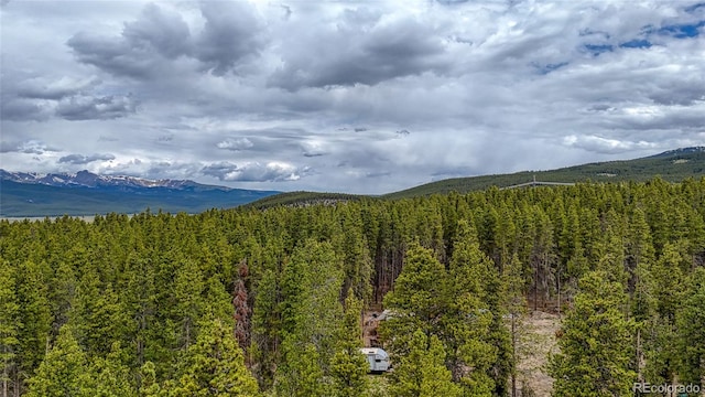 988 Ruby Ln, Leadville, CO 80461 - mountain view featuring a forest