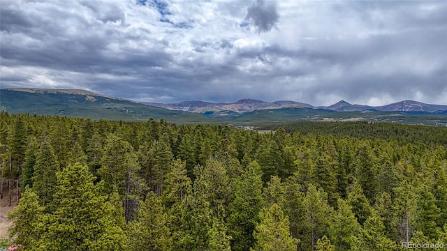 988 Ruby Ln, Leadville, CO 80461 - mountain view featuring a heavily wooded area