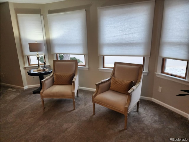 living area featuring a healthy amount of sunlight, baseboards, and carpet flooring