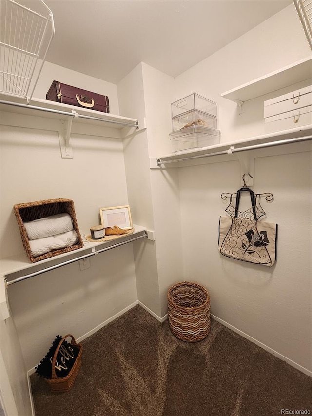 spacious closet with carpet