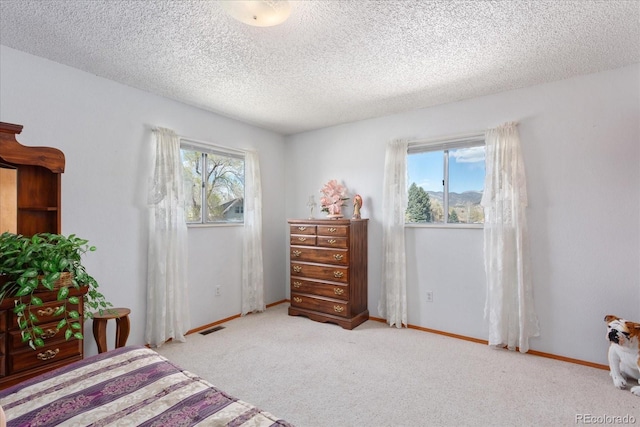 carpeted bedroom with visible vents, a textured ceiling, baseboards, and multiple windows