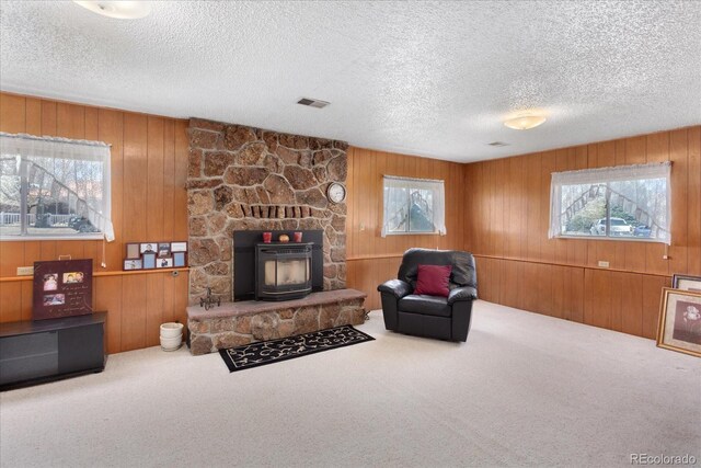 1405 K St, Salida, CO 81201 - photo 39