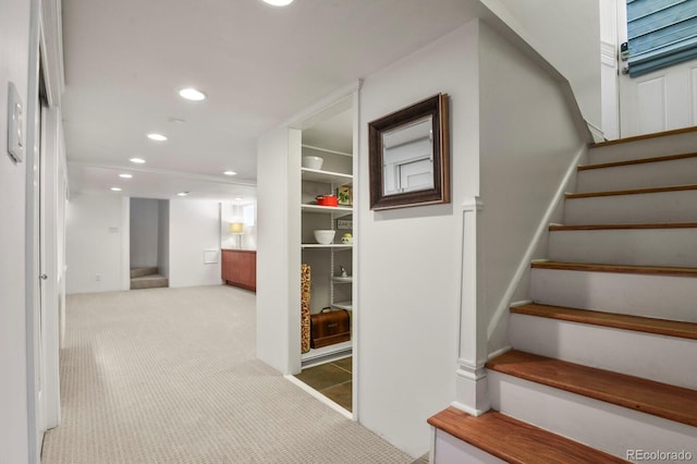 stairs with carpet floors