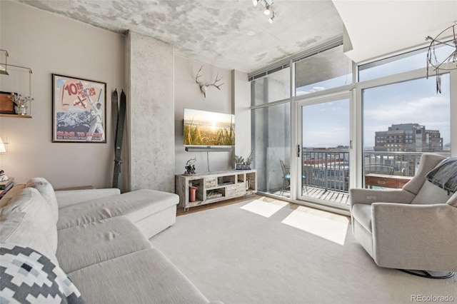 living room with carpet floors and expansive windows