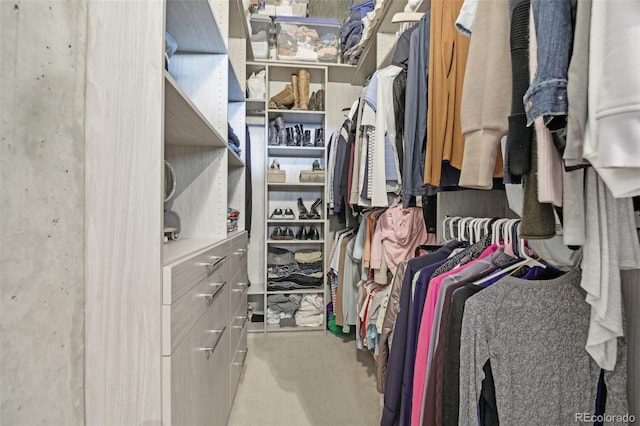 view of spacious closet