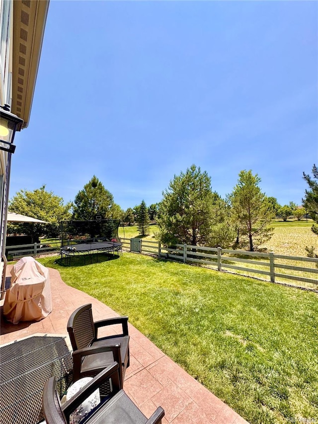 2896 Gemini Loop, Broomfield, CO 80023 - fenced backyard featuring a trampoline and a patio