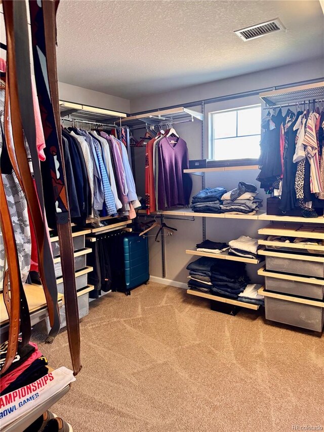 2896 Gemini Loop, Broomfield, CO 80023 - walk in closet with carpet