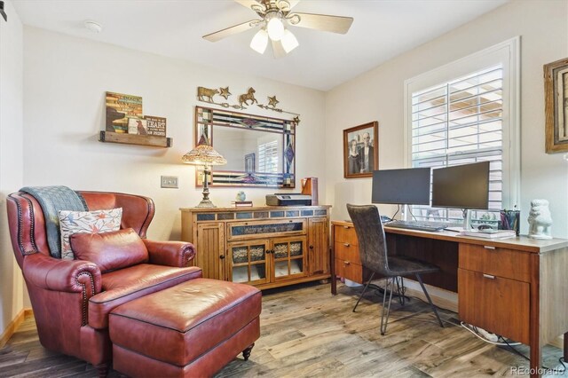 1294 Kittery St, Castle Rock, CO 80104 - photo 9