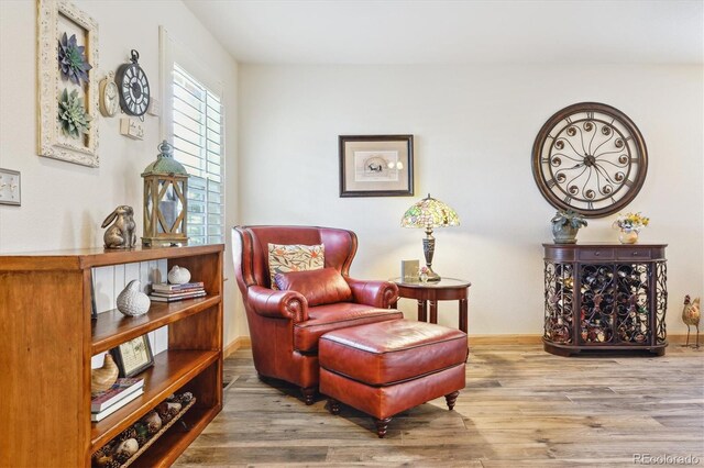 1294 Kittery St, Castle Rock, CO 80104 - photo 11