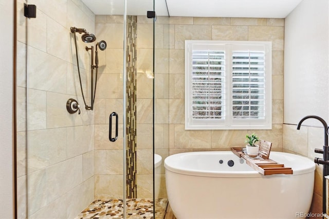 1294 Kittery St, Castle Rock, CO 80104 - photo 22