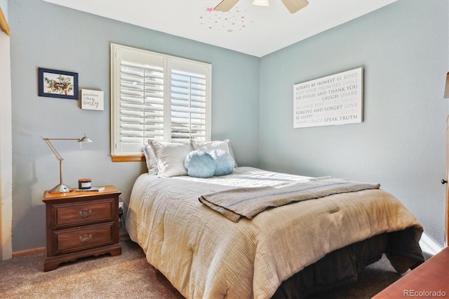 1294 Kittery St, Castle Rock, CO 80104 - photo 25
