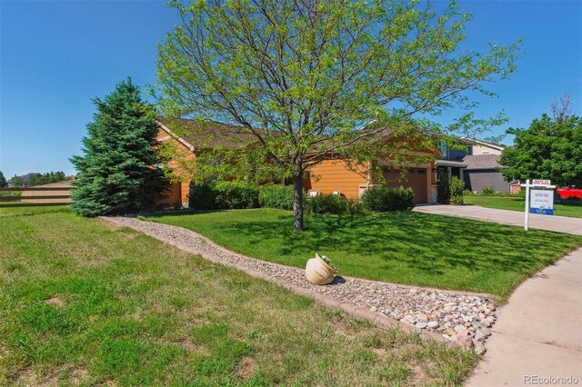 1294 Kittery St, Castle Rock, CO 80104 - photo 38