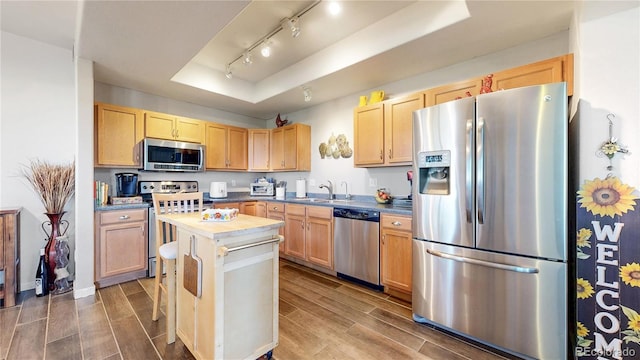 10449 Paris St Unit 207, Commerce City, CO 80640 - kitchen featuring appliances with stainless steel finishes, a raised ceiling, wood finish floors, track lighting, and light brown cabinets